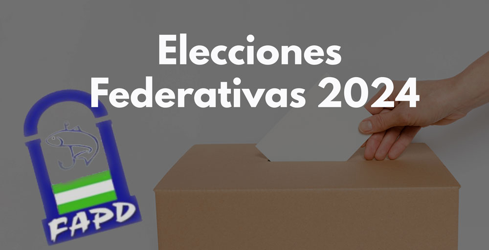 Elecciones 2024 boton