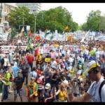 Imagen galeria
