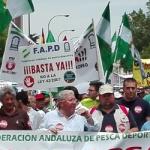 Imagen galeria